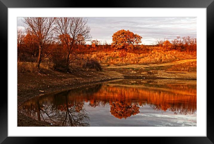 Golden hour reflection Framed Mounted Print by Martin Smith