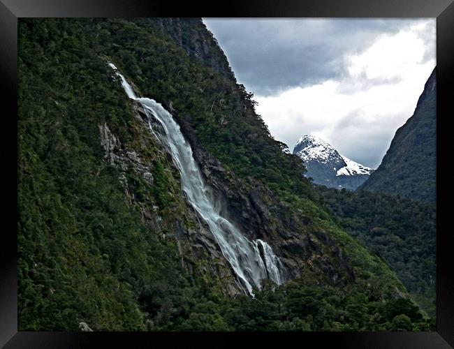 Bowen falls, Milford Sound, New Zealand Framed Print by Martin Smith