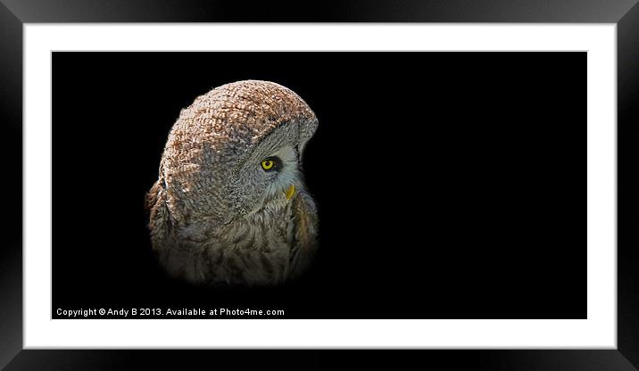 European Great Grey Owl Framed Mounted Print by Andy Bennette