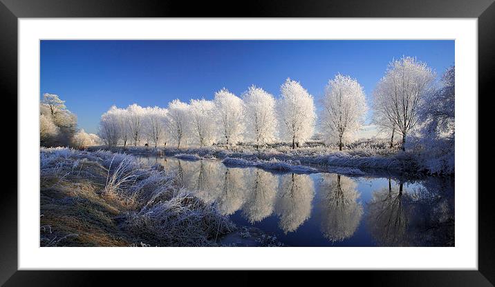  Mirror Trees Framed Mounted Print by Andy Bennette