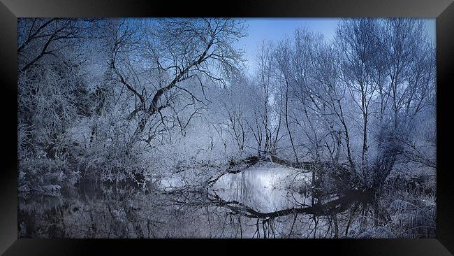  Tangle of Ice Framed Print by Andy Bennette