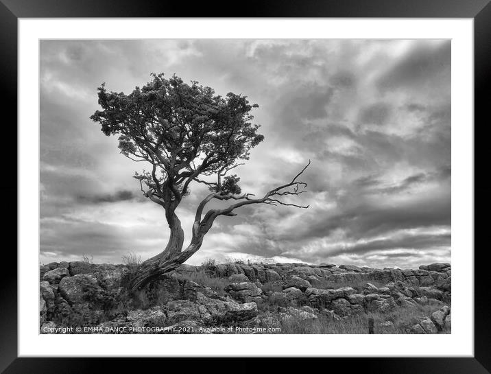 The Yorkshire Dales, Malham Framed Mounted Print by EMMA DANCE PHOTOGRAPHY