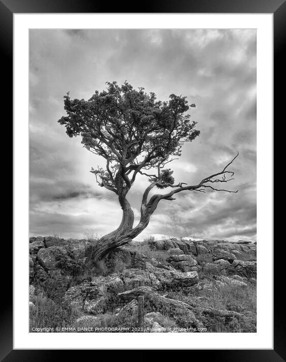 The Yorkshire Dales, Malham Framed Mounted Print by EMMA DANCE PHOTOGRAPHY