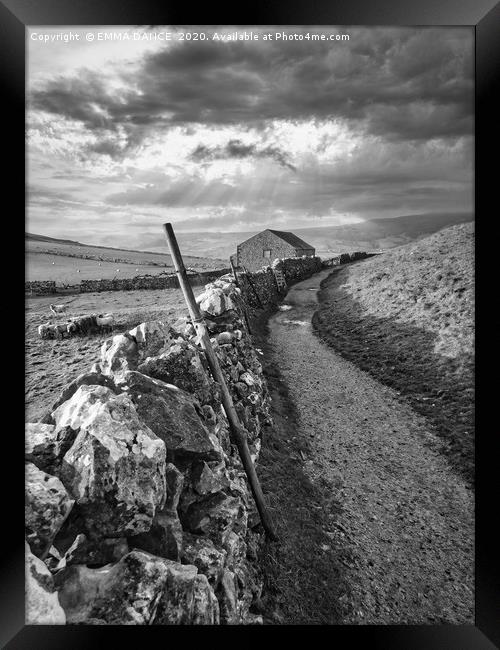 Walking in the Yorkshire Dales Framed Print by EMMA DANCE PHOTOGRAPHY