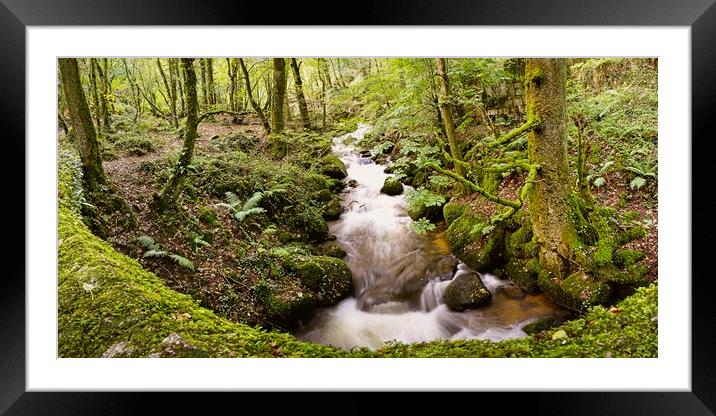 Autumn light woodland with milky river Framed Mounted Print by Paul Cooper