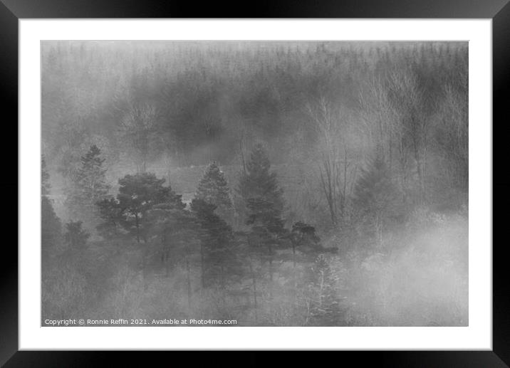 Misty Treetops Framed Mounted Print by Ronnie Reffin