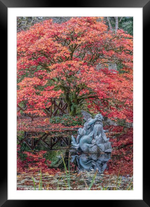 Red Benmore Tree Framed Mounted Print by Ronnie Reffin