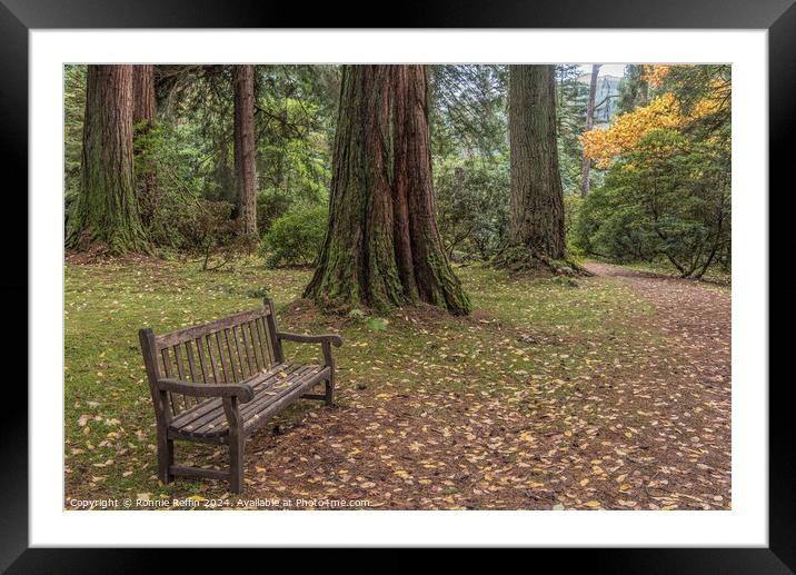 Take A Seat And Sit Awhile Framed Mounted Print by Ronnie Reffin