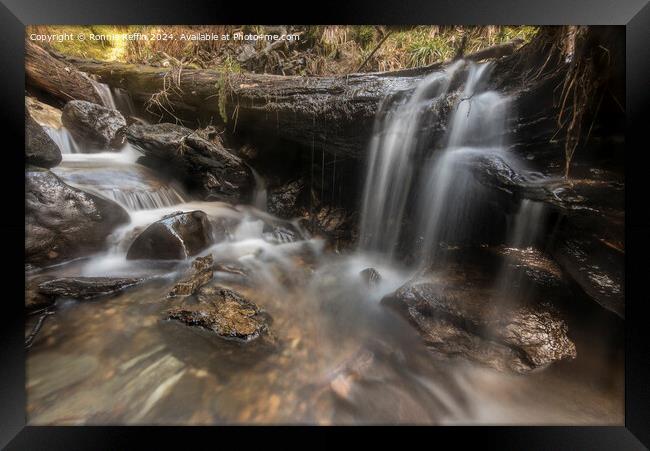 Water Over Log Framed Print by Ronnie Reffin