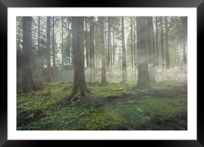 Smoke In The Forest Framed Mounted Print by Ronnie Reffin