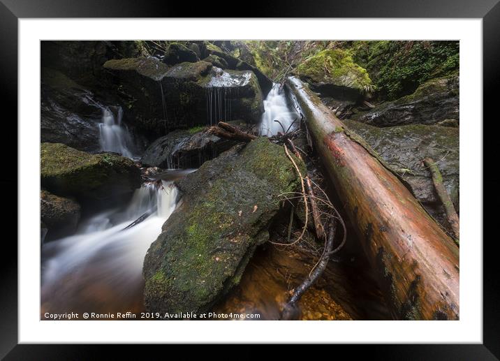 Log In The River Framed Mounted Print by Ronnie Reffin