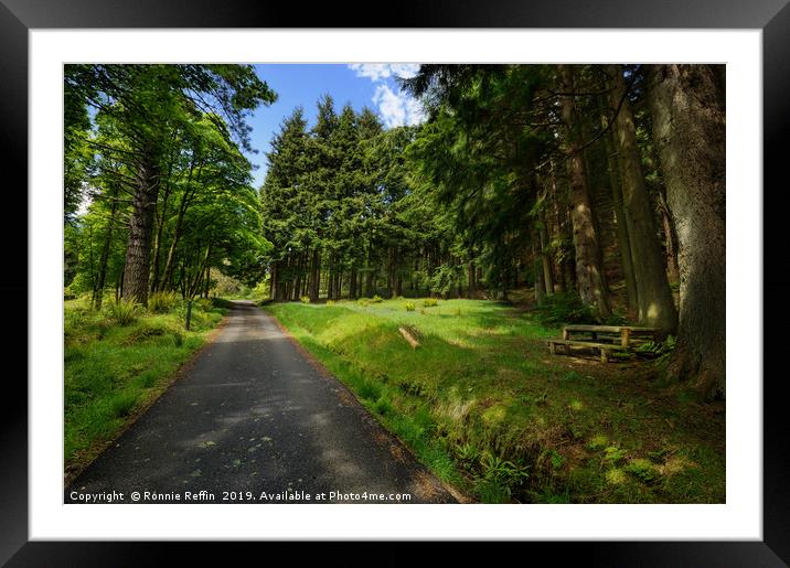 Entrance To Kilmun Arboretum Framed Mounted Print by Ronnie Reffin