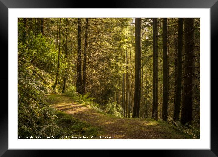 Woodland Trail Framed Mounted Print by Ronnie Reffin