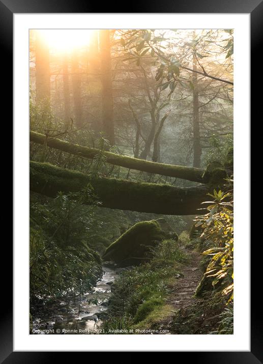 Pucks Glen At Sundown Framed Mounted Print by Ronnie Reffin