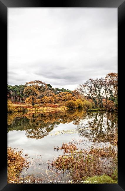 Autumnal Reflections Framed Print by Jan Gregory