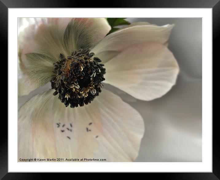 Anemone Framed Mounted Print by Karen Martin