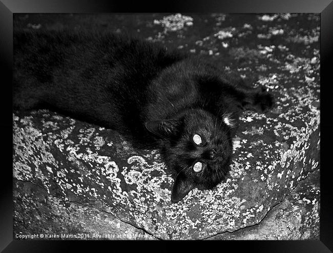 Stone Cat Framed Print by Karen Martin