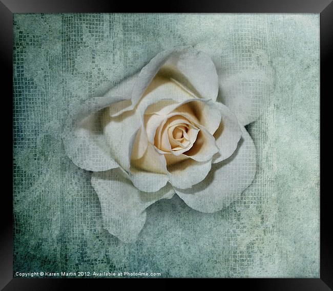 Lacy Rose Framed Print by Karen Martin