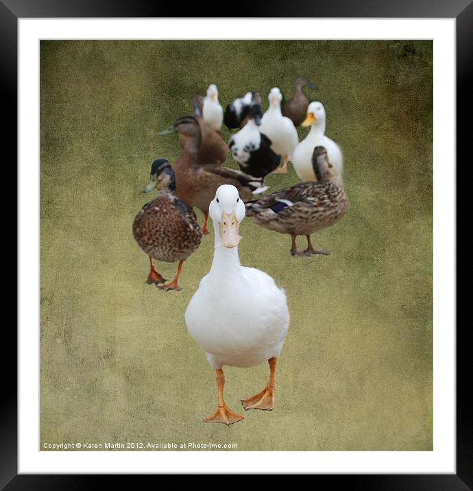 Ducks Approaching Framed Mounted Print by Karen Martin
