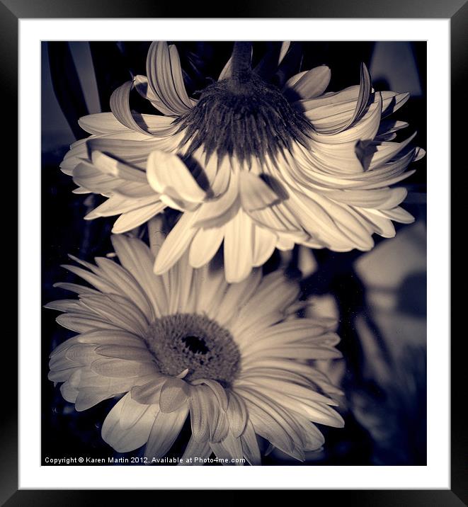 Mirrored Gerbera Framed Mounted Print by Karen Martin