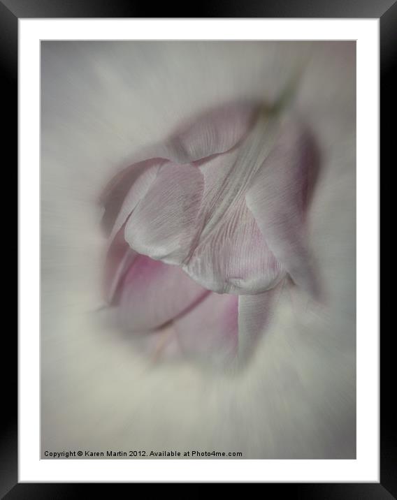 Soft Pink Tulip Framed Mounted Print by Karen Martin