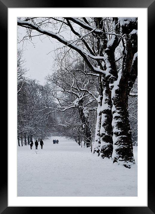 Winter Trees Framed Mounted Print by Karen Martin