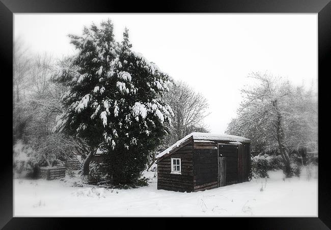 Garden Shed Framed Print by Karen Martin