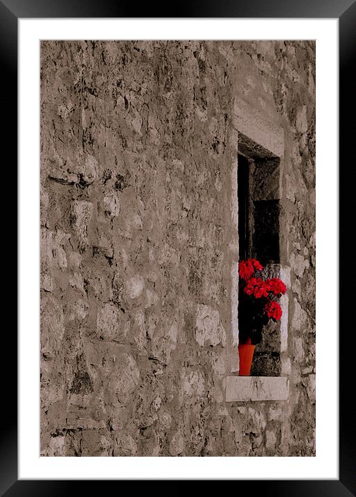 Geranium in Wall Framed Mounted Print by Karen Martin