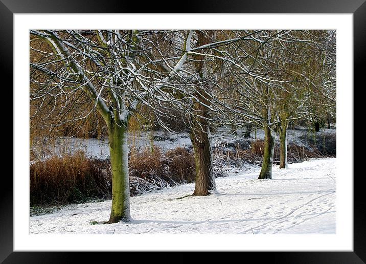 SNOWSCENE AT THE LOCAL PARK Framed Mounted Print by Ray Bacon LRPS CPAGB