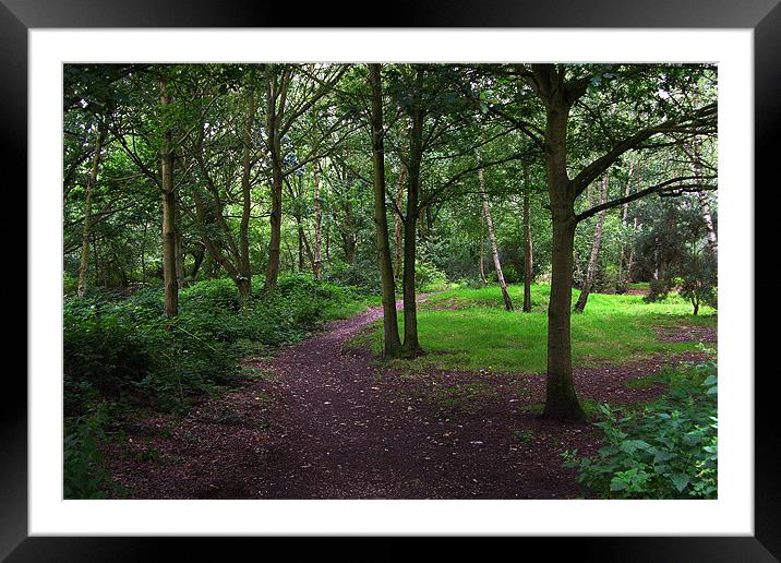 GALLEYWOOD COMMON,CHELMSFORD,ESSEX Framed Mounted Print by Ray Bacon LRPS CPAGB