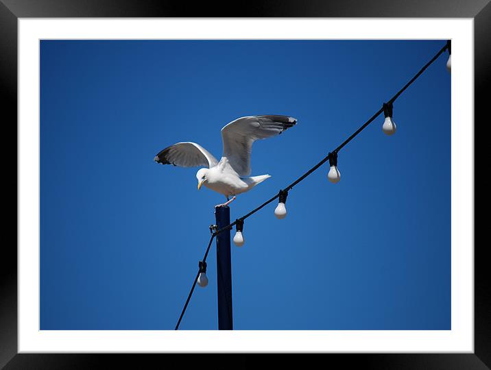 SEAGULL ON THE SEAFRONT ! Framed Mounted Print by Ray Bacon LRPS CPAGB