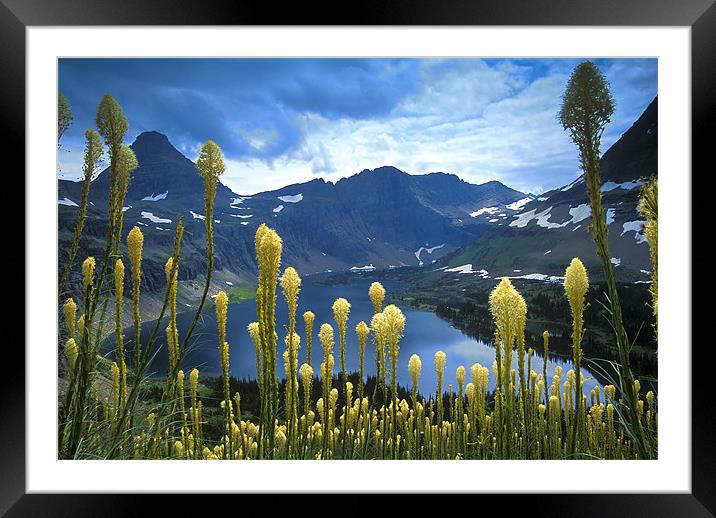 Beargrass Above Hidden Lake Framed Mounted Print by Gary Beeler