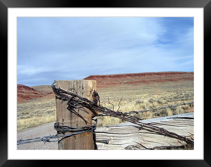 Fence Post 5416 Framed Mounted Print by Don Brady