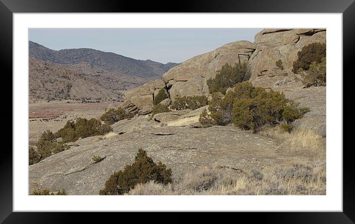 Rugged Wyoming Landscape 0615 Framed Mounted Print by Don Brady