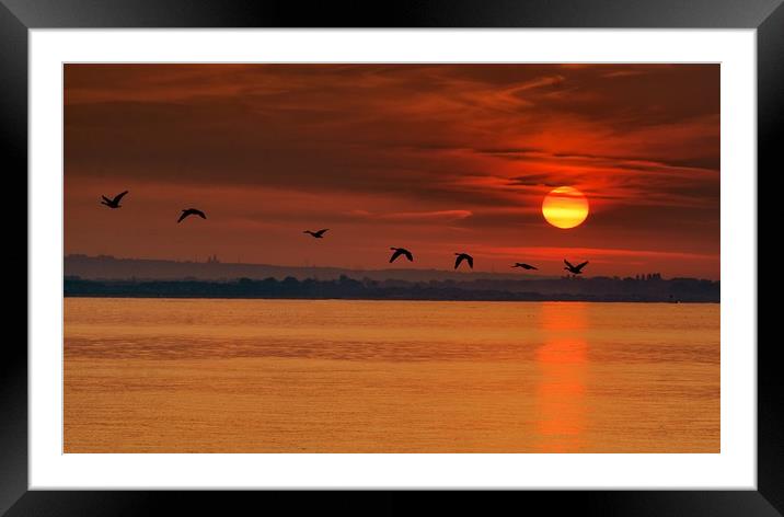 Geese flying at sunrise Framed Mounted Print by Jan Sutton