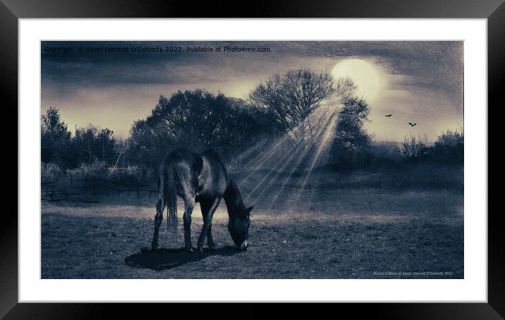 A horse standing on top of a grass covered field Framed Mounted Print by Kevin Dermot O'Doherty