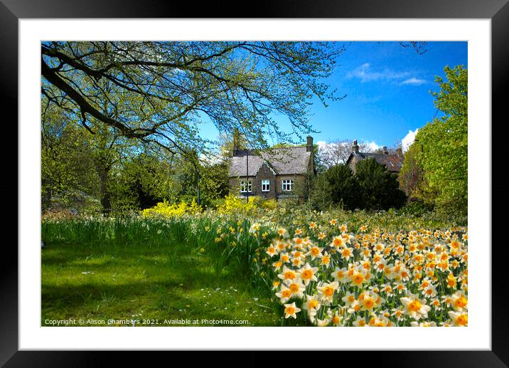 Sheffield Framed Mounted Print by Alison Chambers