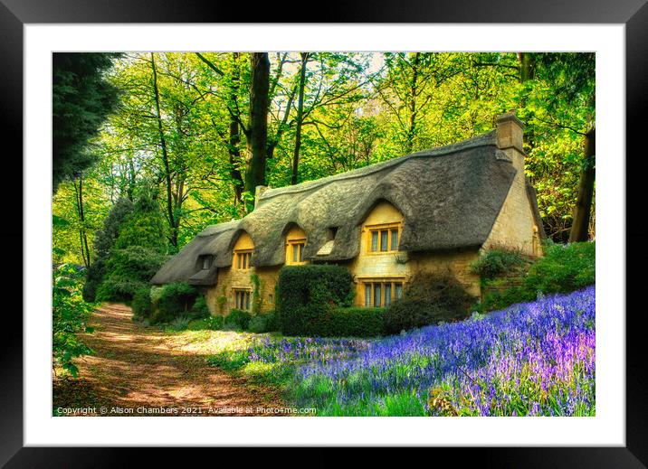 Thatched Bluebell Cottage Framed Mounted Print by Alison Chambers