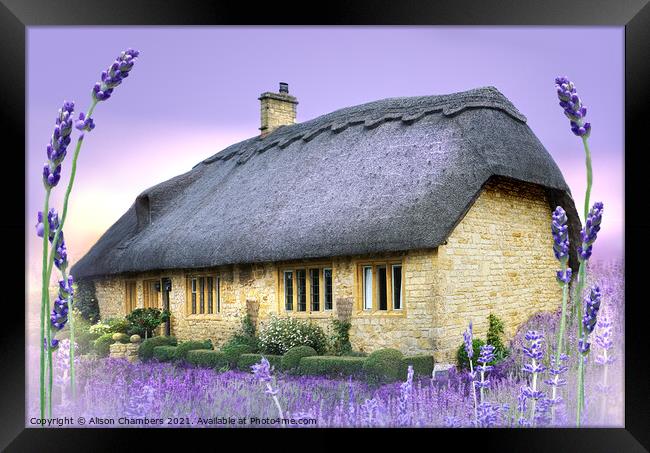 Lavender Cottage Framed Print by Alison Chambers