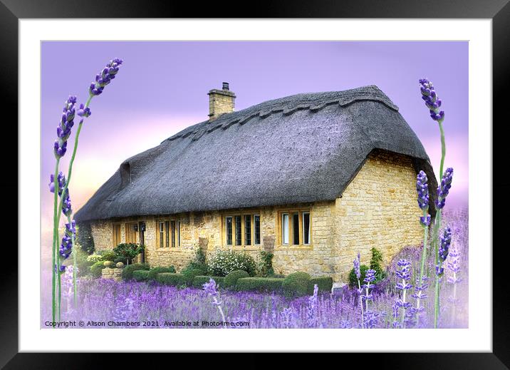 Lavender Cottage Framed Mounted Print by Alison Chambers