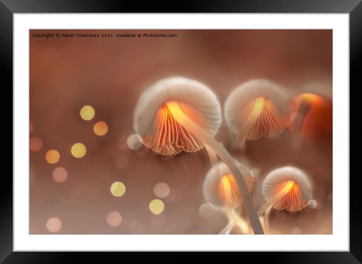 Bewitching Mushrooms Framed Mounted Print by Alison Chambers
