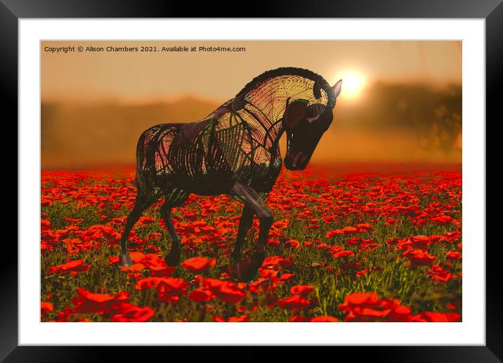 War Horse  Framed Mounted Print by Alison Chambers