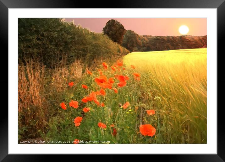 Sunset Poppies Framed Mounted Print by Alison Chambers