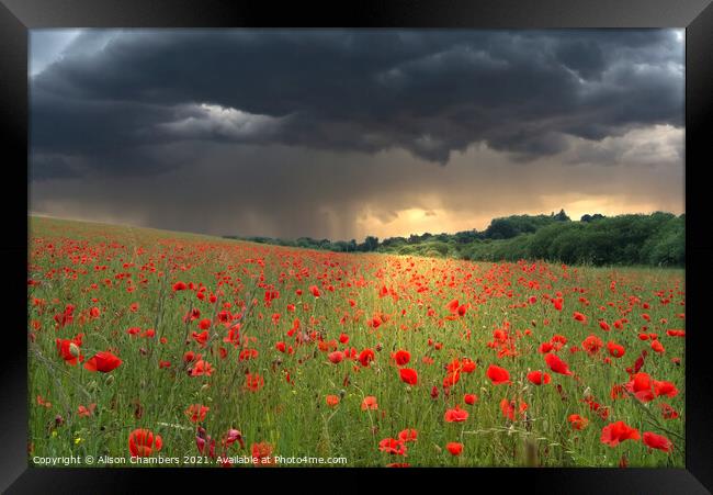Poppy Field Storm Framed Print by Alison Chambers