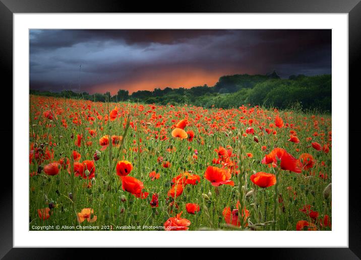 Poppy Field Fading Storm Framed Mounted Print by Alison Chambers
