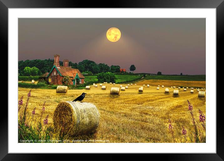 Harvest Moon Framed Mounted Print by Alison Chambers