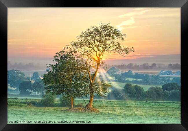 Axminster Landscape at Dawn Framed Print by Alison Chambers