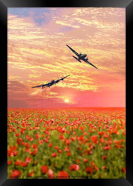 Lancaster and Dakota over Poppy Field Framed Print by Alison Chambers