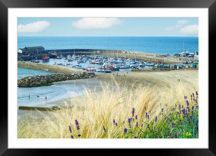 Lyme Regis Harbour View Framed Mounted Print by Alison Chambers