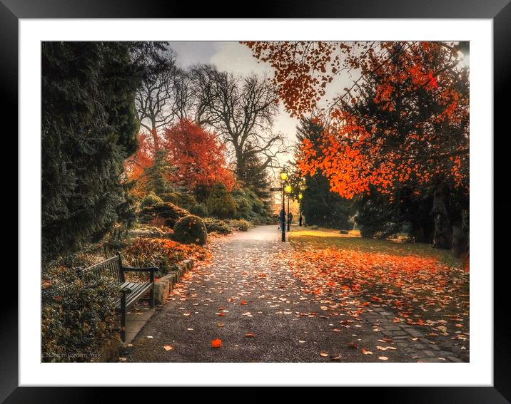 Museum Gardens York Framed Mounted Print by Alison Chambers